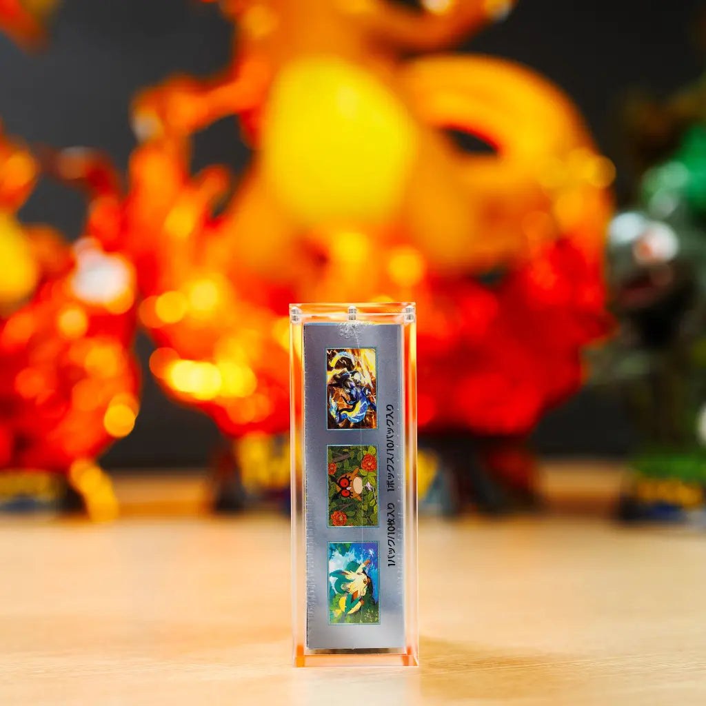 Boite de Protection en acrylic pour demi display (JAP)